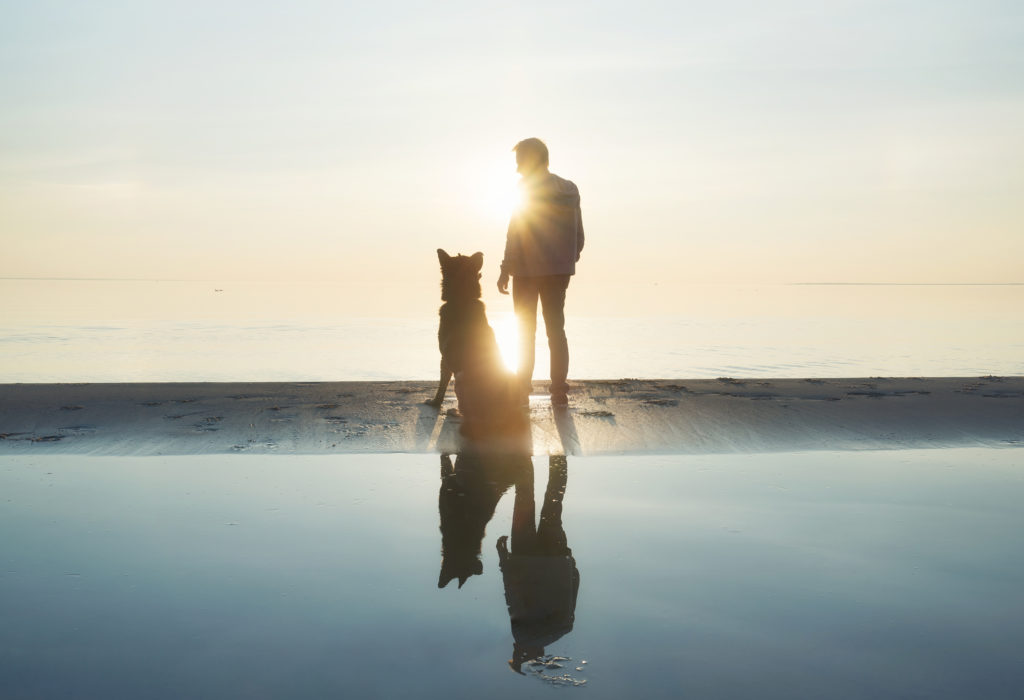 愛犬と波チェック。幸せなひととき